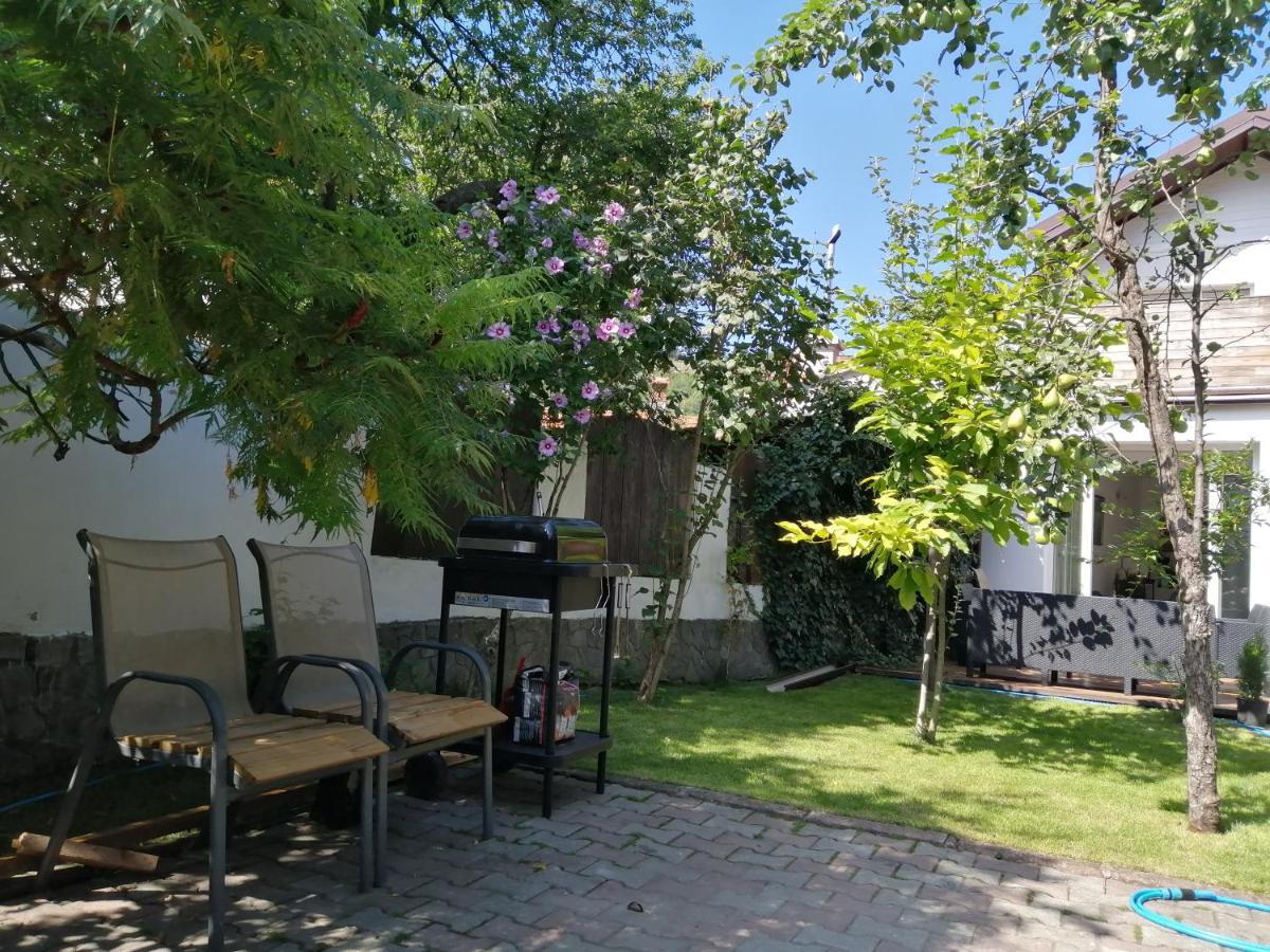 Casa Scheiana Bed & Breakfast Brasov Luaran gambar