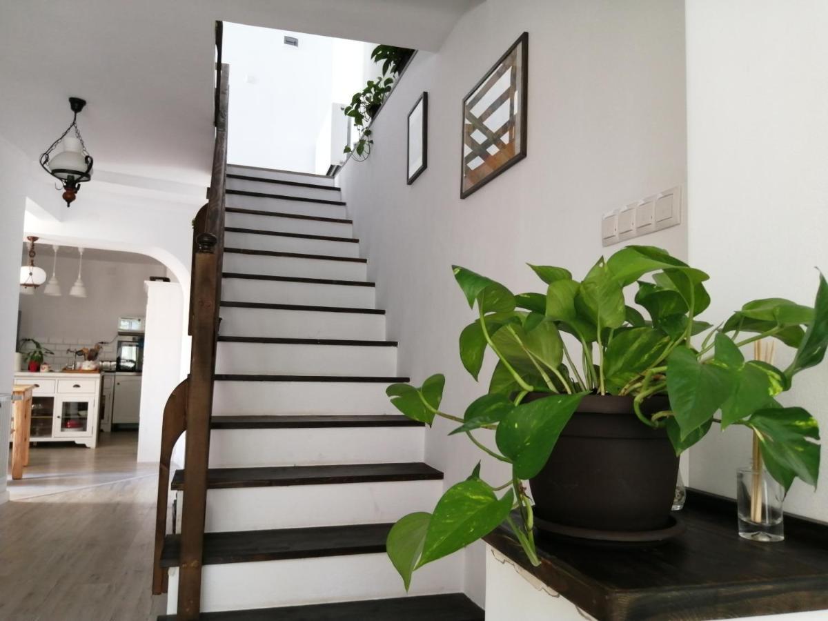 Casa Scheiana Bed & Breakfast Brasov Luaran gambar