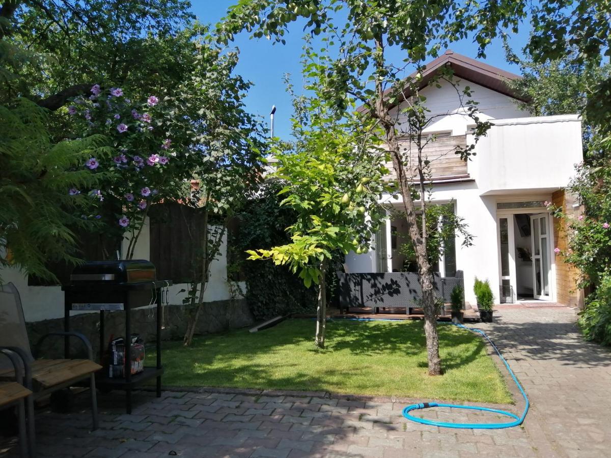 Casa Scheiana Bed & Breakfast Brasov Luaran gambar