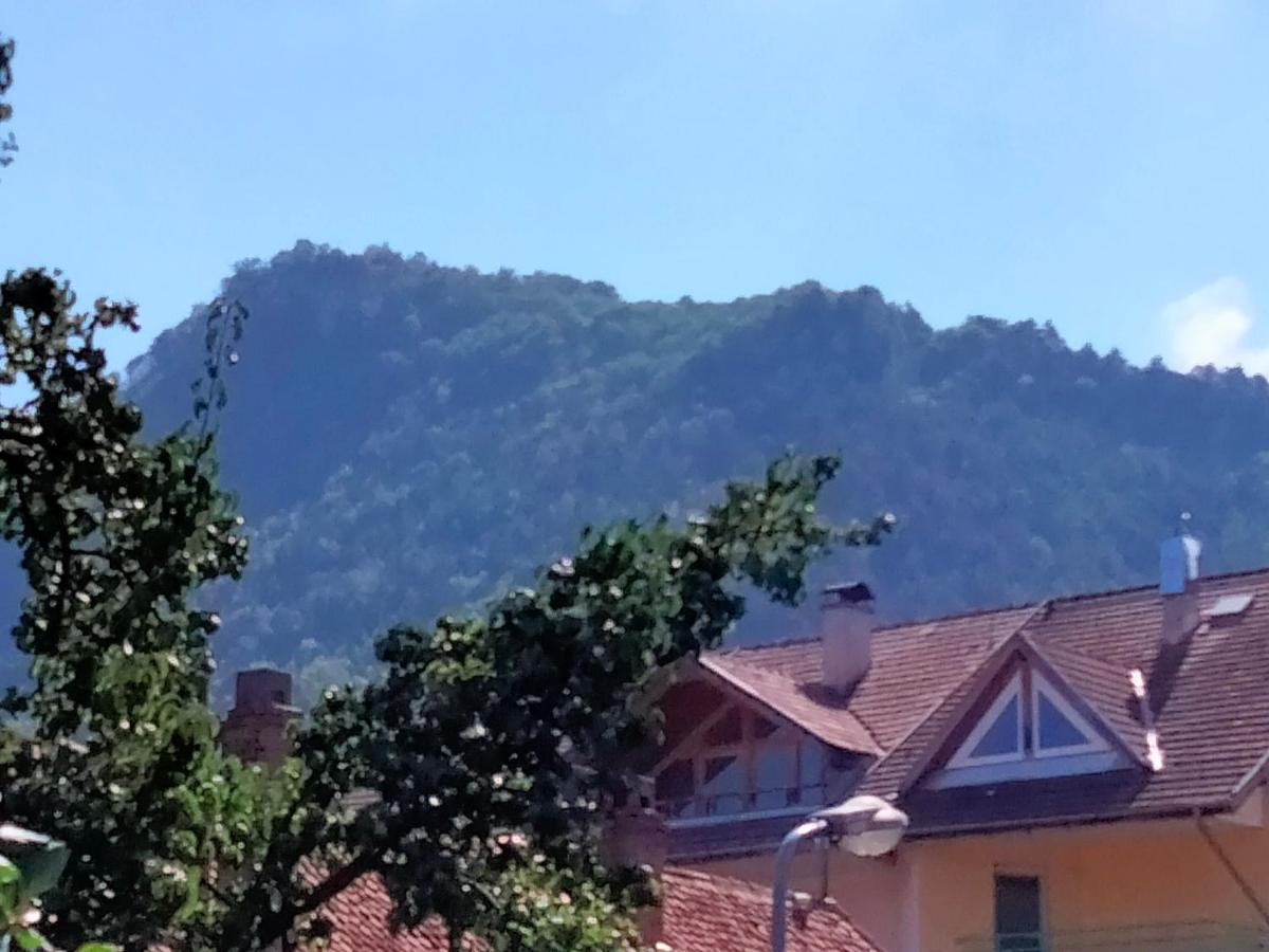 Casa Scheiana Bed & Breakfast Brasov Luaran gambar