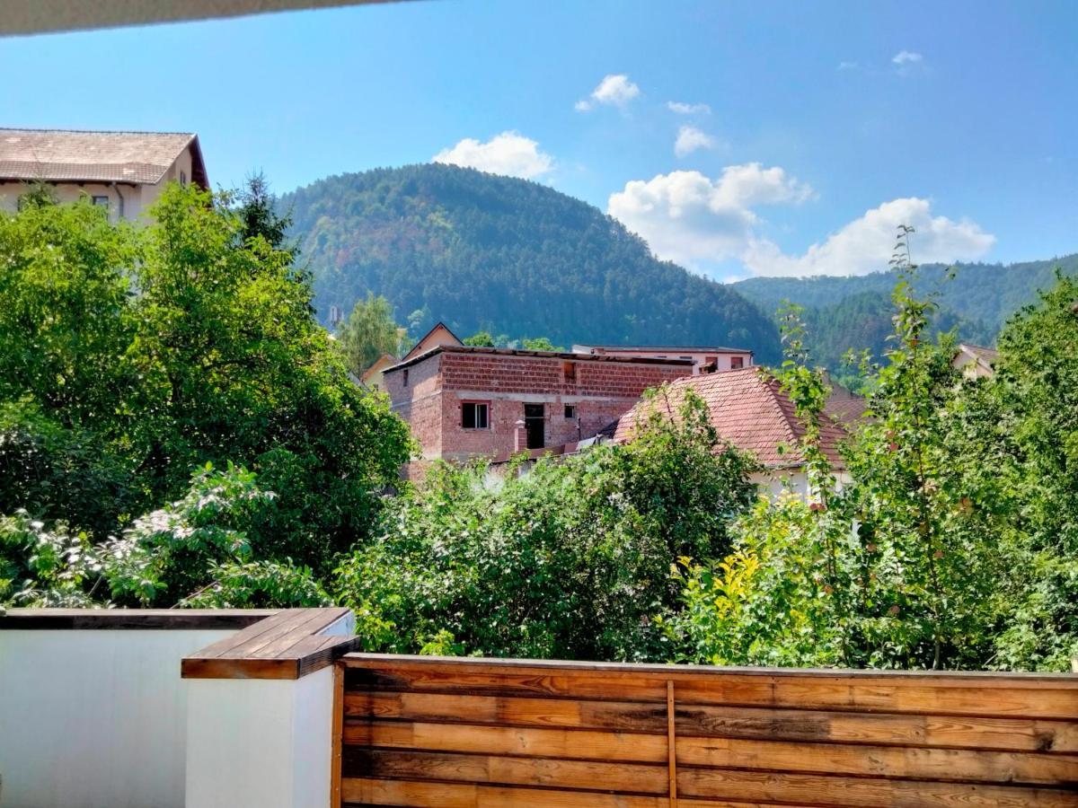 Casa Scheiana Bed & Breakfast Brasov Luaran gambar