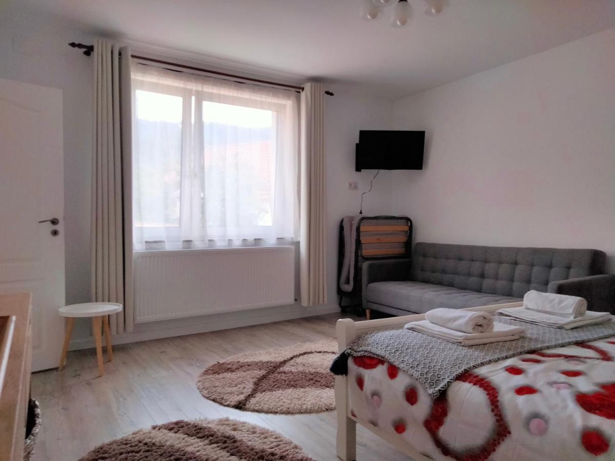 Casa Scheiana Bed & Breakfast Brasov Luaran gambar