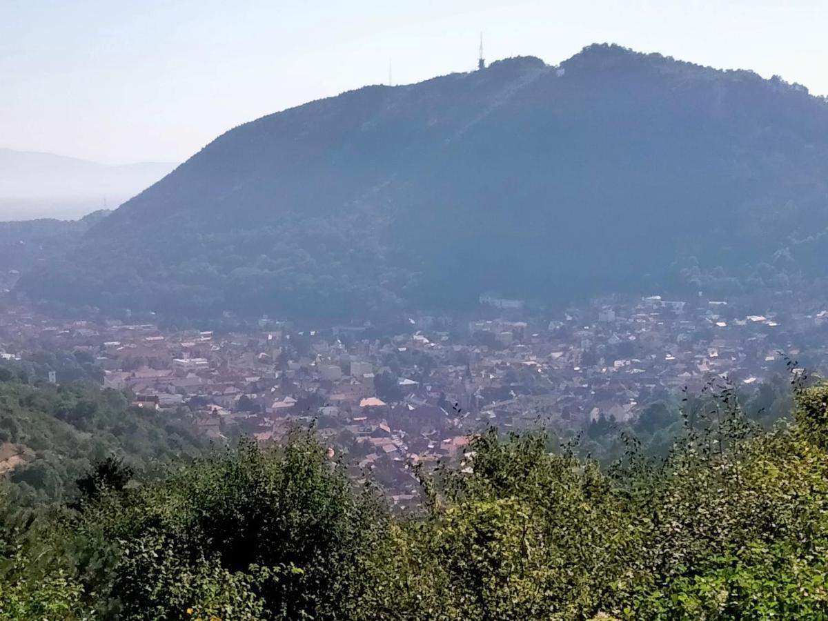 Casa Scheiana Bed & Breakfast Brasov Luaran gambar