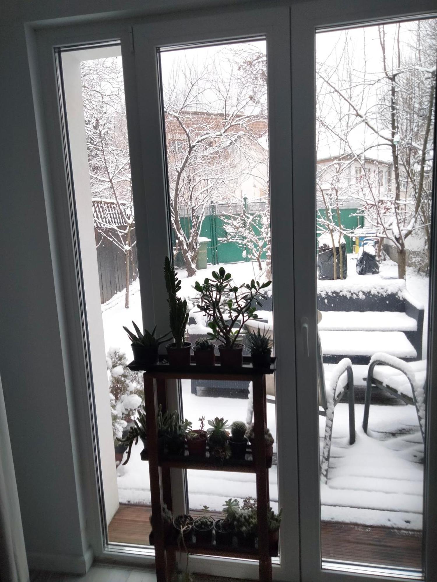 Casa Scheiana Bed & Breakfast Brasov Luaran gambar
